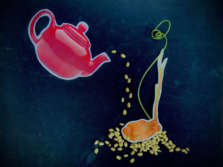 inbound marketing sostenible